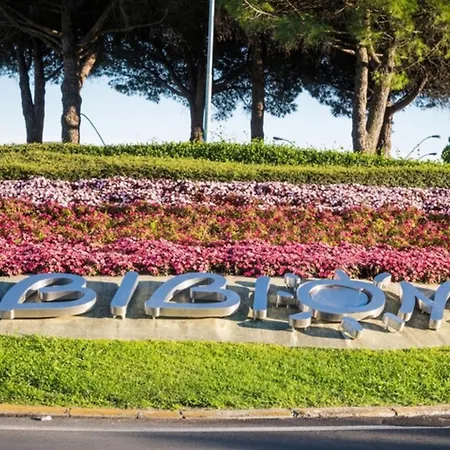 With Balcony In Apartman Bibione